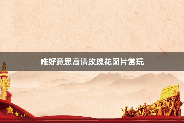 唯好意思高清玫瑰花图片赏玩