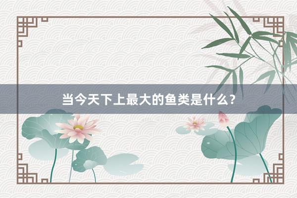 当今天下上最大的鱼类是什么？