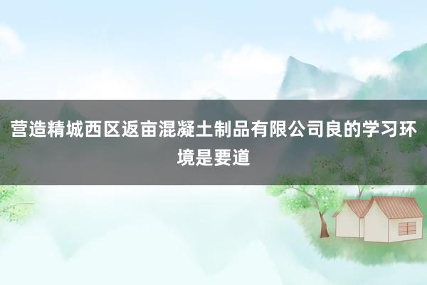 营造精城西区返亩混凝土制品有限公司良的学习环境是要道